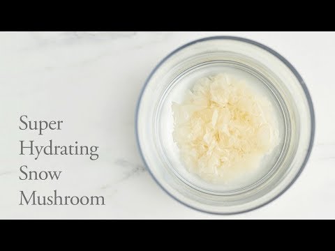 Snow Mushroom &amp; Reishi Masque